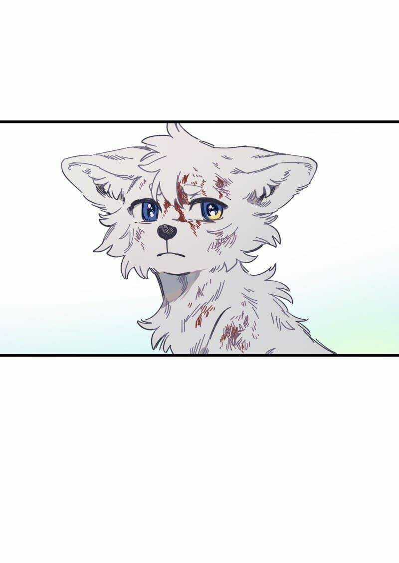 Cội Nguồn Ánh Sáng Chapter 134 trang 26