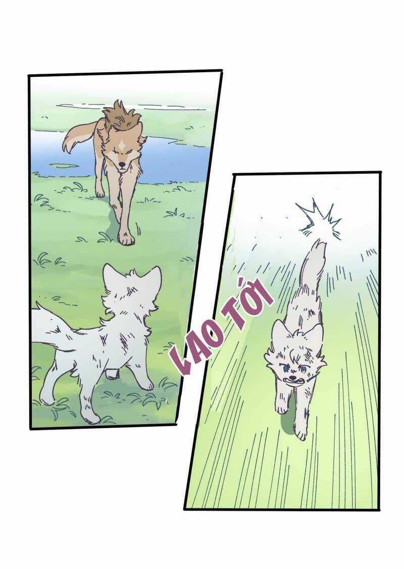 Cội Nguồn Ánh Sáng Chapter 134 trang 28