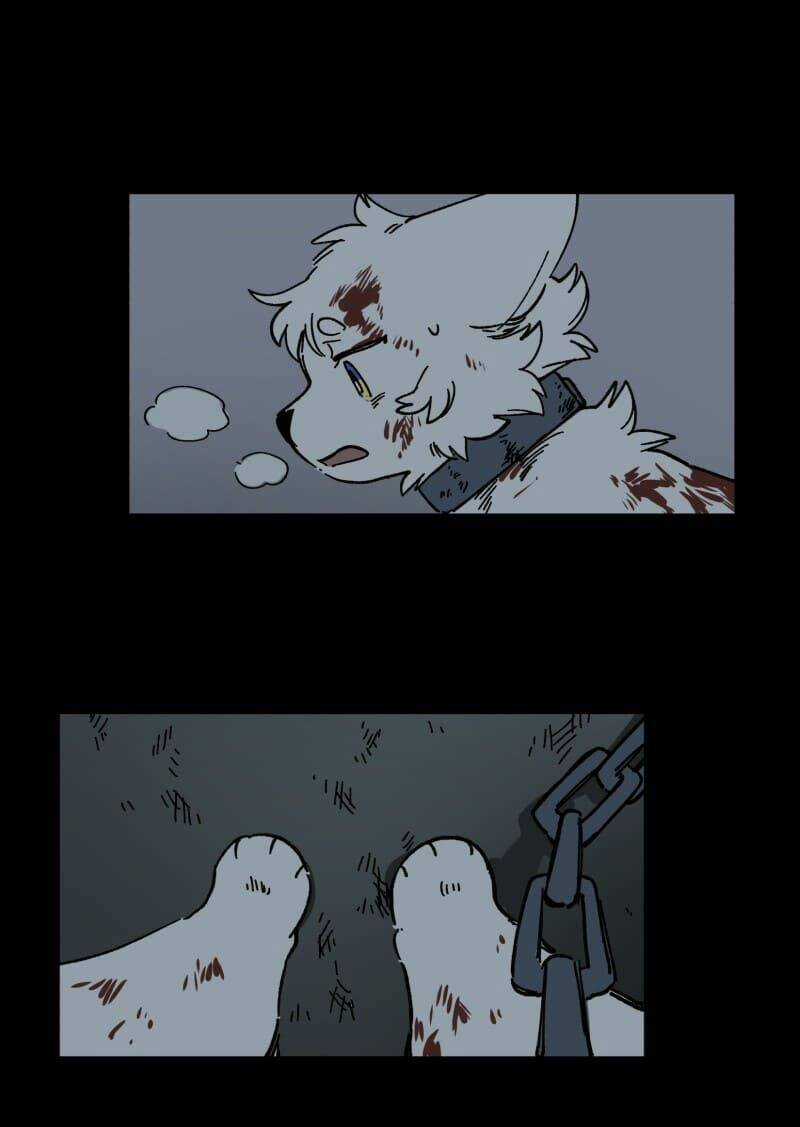 Cội Nguồn Ánh Sáng Chapter 138 trang 12