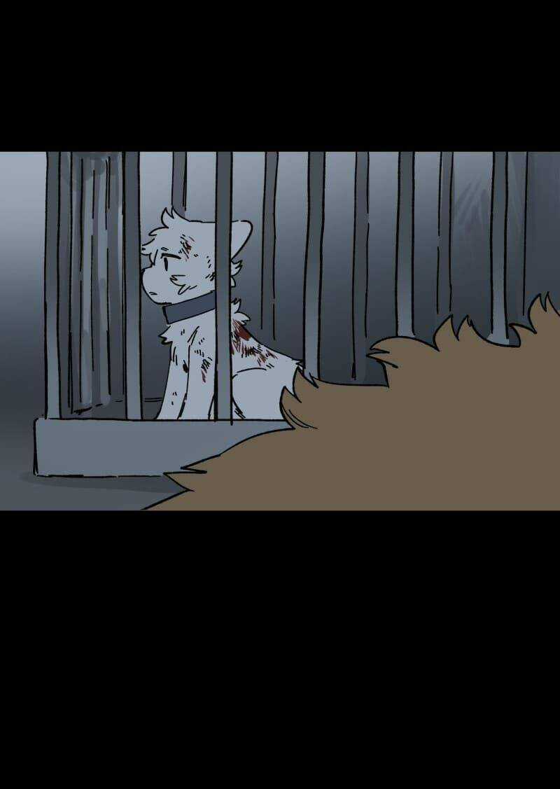 Cội Nguồn Ánh Sáng Chapter 138 trang 19