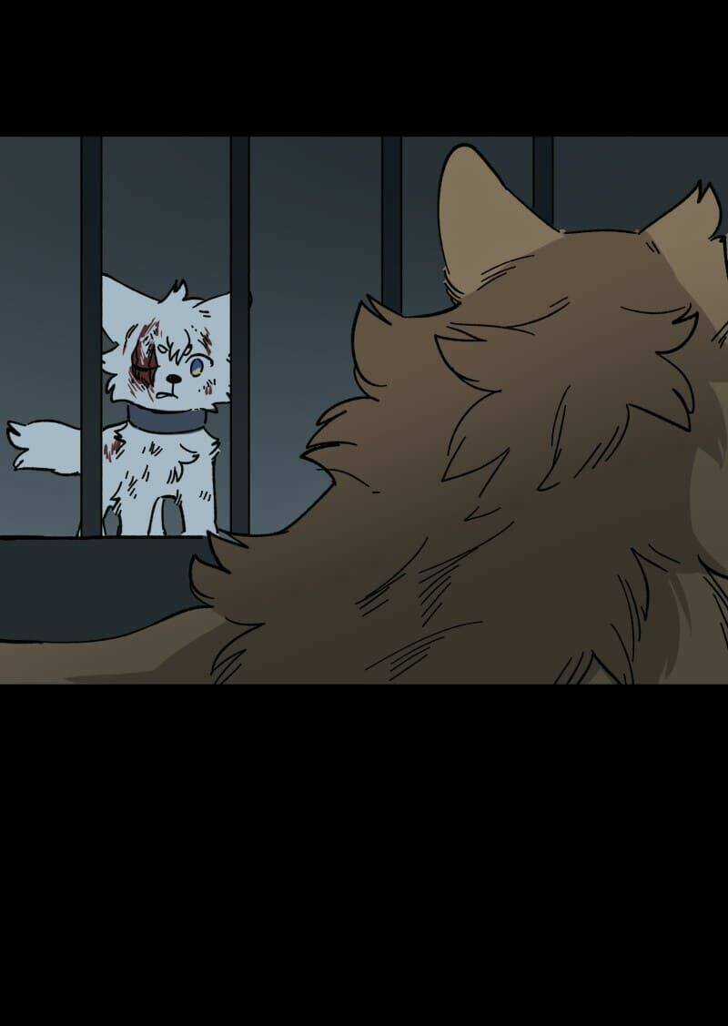 Cội Nguồn Ánh Sáng Chapter 138 trang 24