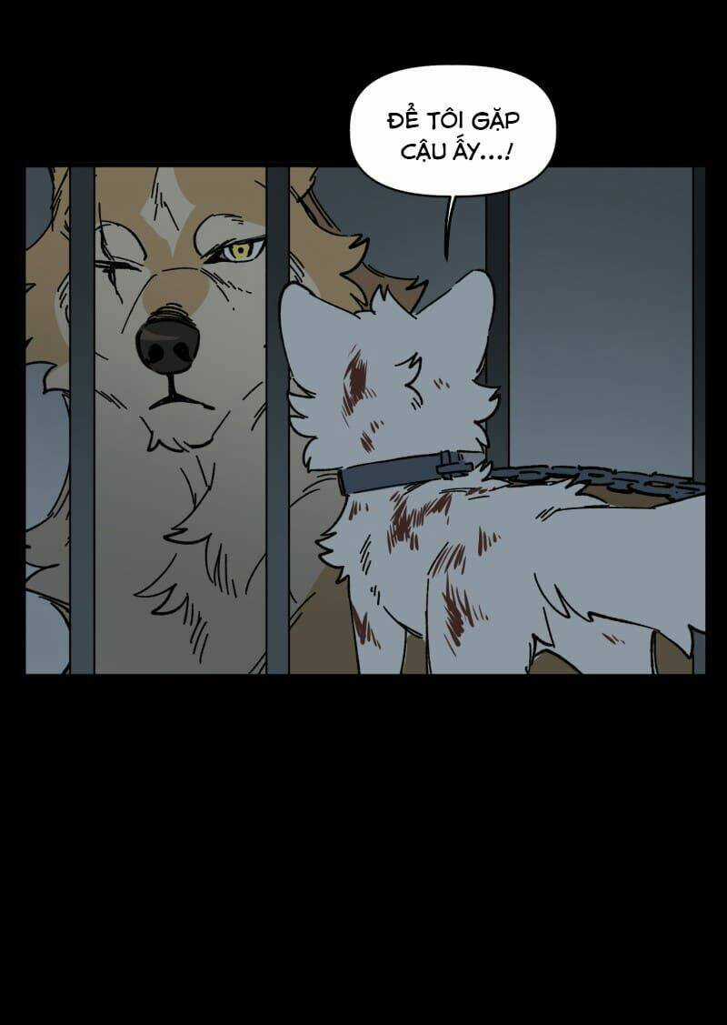 Cội Nguồn Ánh Sáng Chapter 138 trang 29