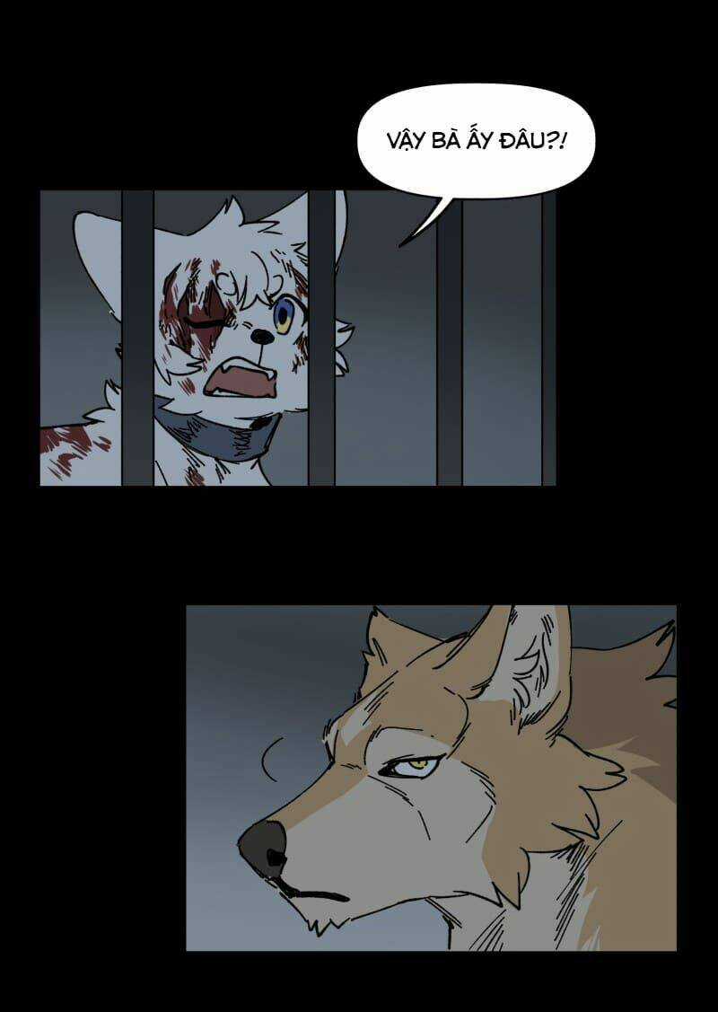 Cội Nguồn Ánh Sáng Chapter 138 trang 31