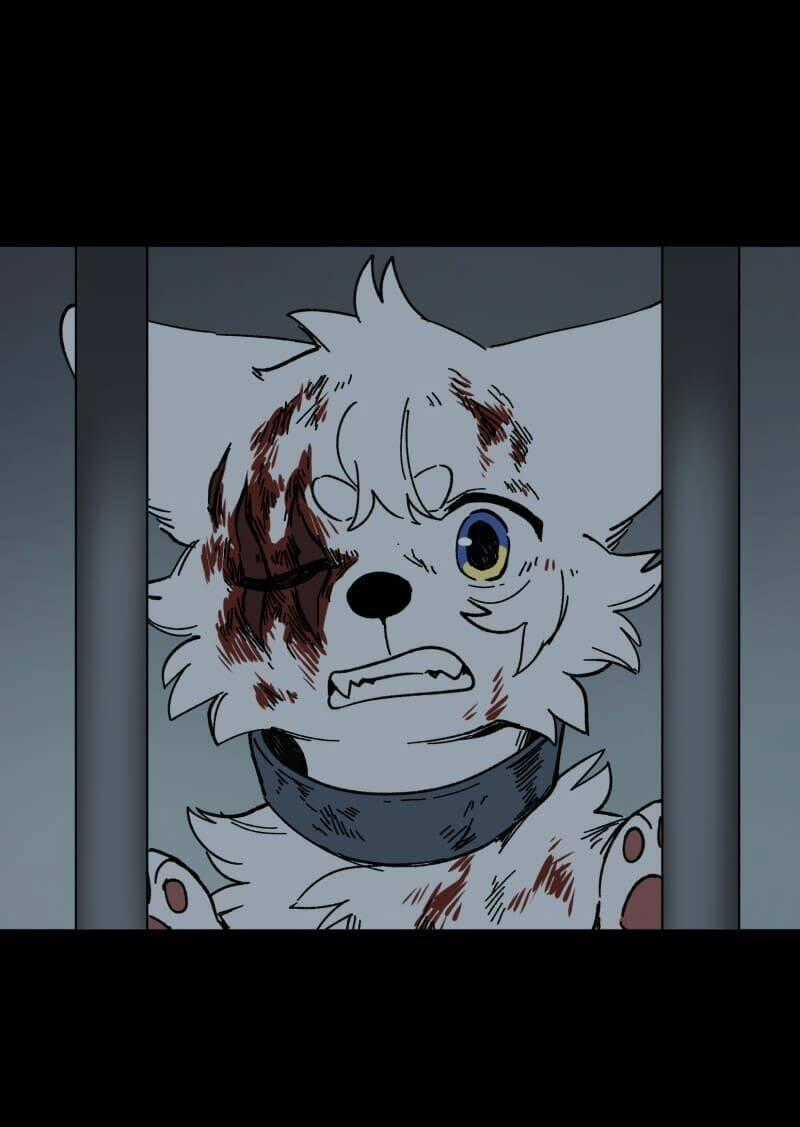 Cội Nguồn Ánh Sáng Chapter 138 trang 41