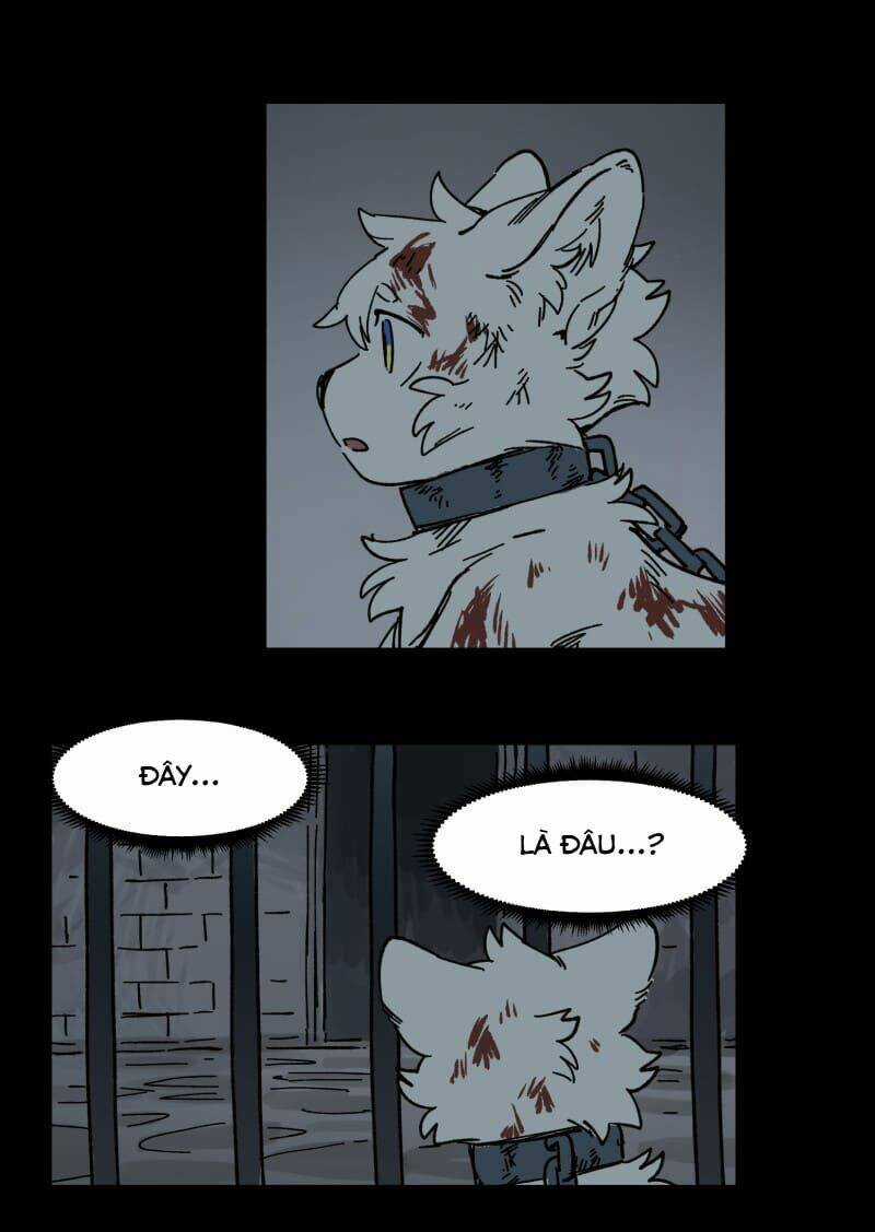 Cội Nguồn Ánh Sáng Chapter 138 trang 6