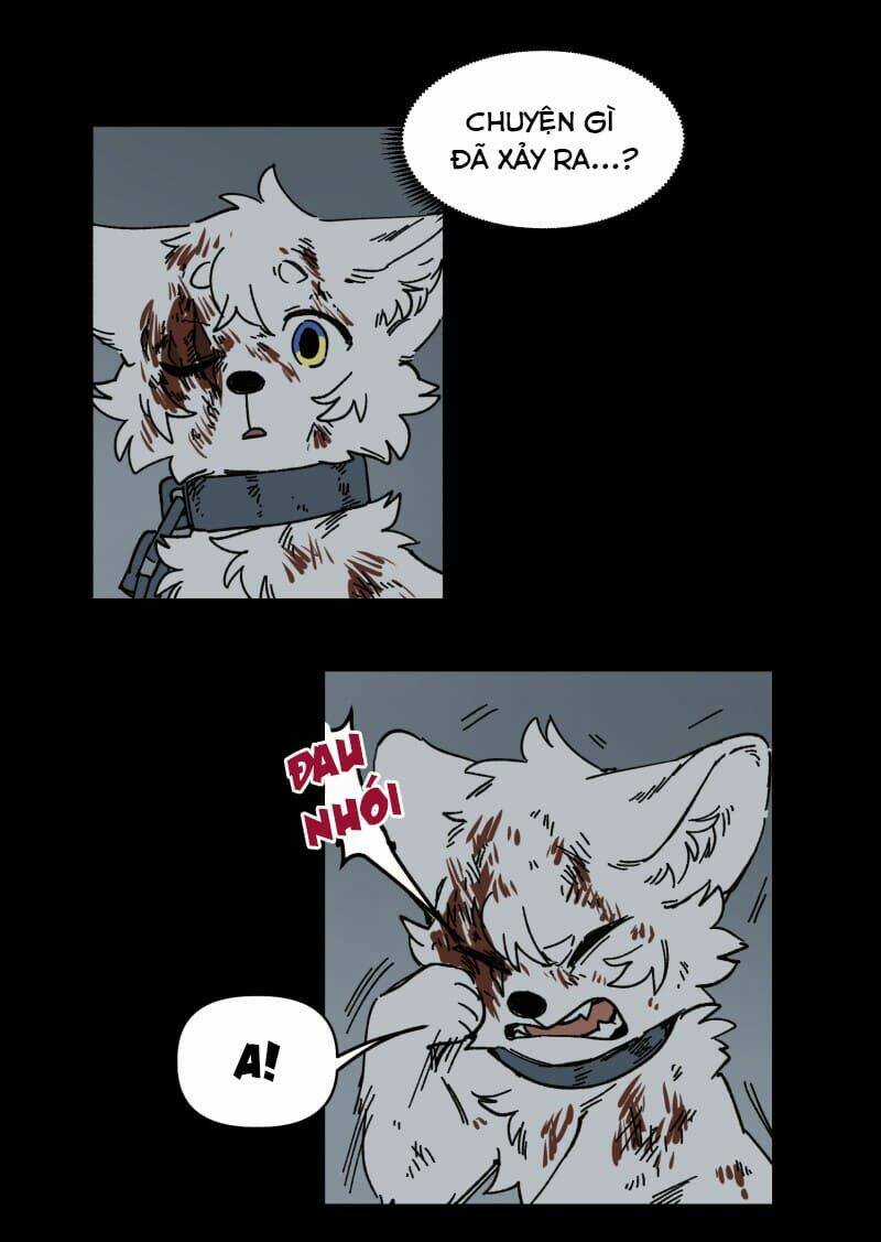 Cội Nguồn Ánh Sáng Chapter 138 trang 7