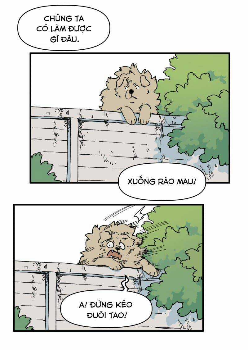 Cội Nguồn Ánh Sáng Chapter 139 trang 10