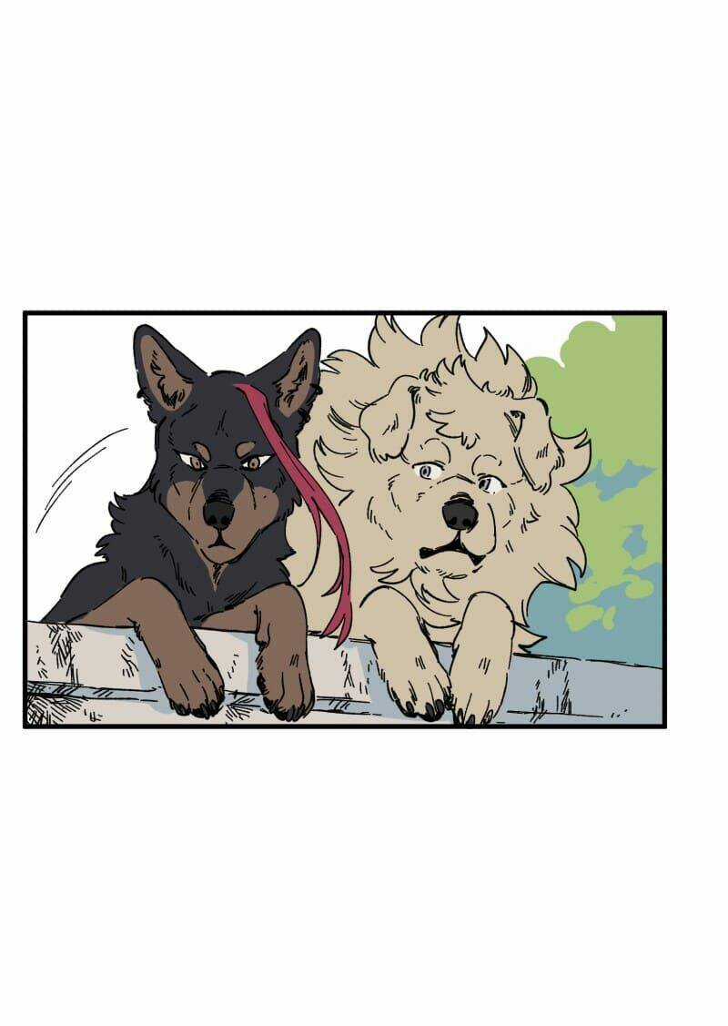 Cội Nguồn Ánh Sáng Chapter 139 trang 13