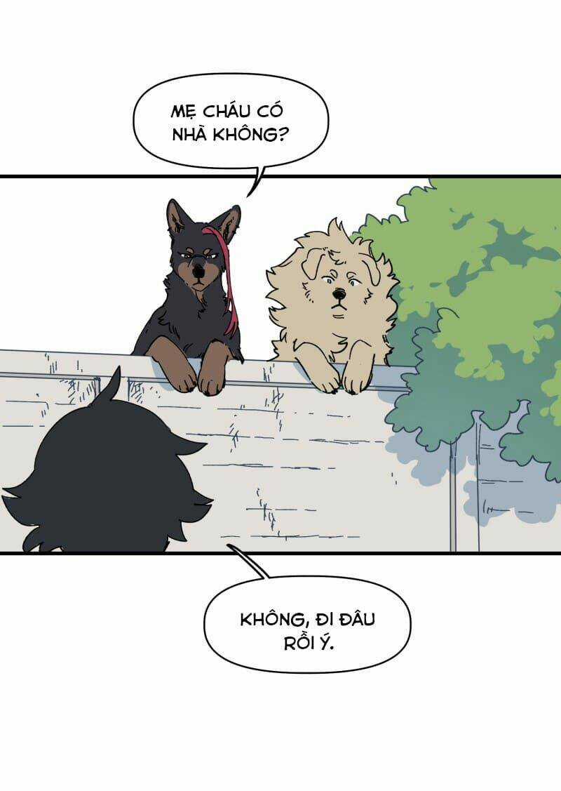 Cội Nguồn Ánh Sáng Chapter 139 trang 14