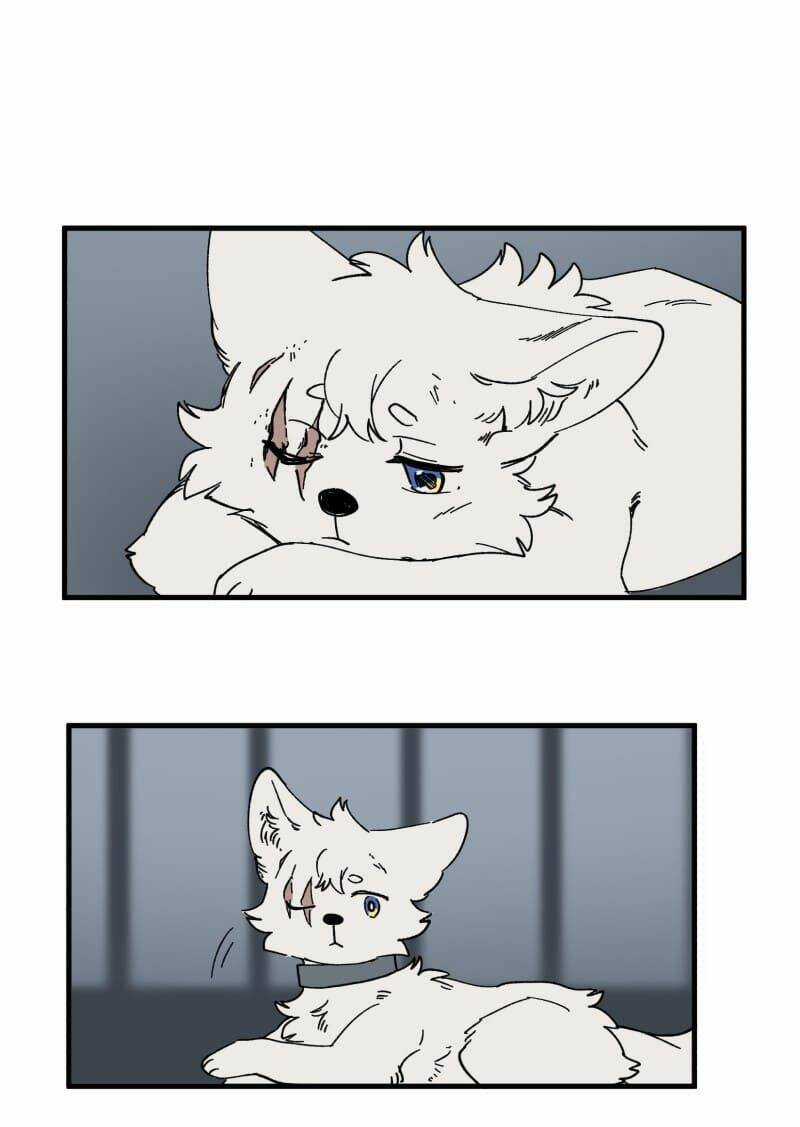 Cội Nguồn Ánh Sáng Chapter 139 trang 28