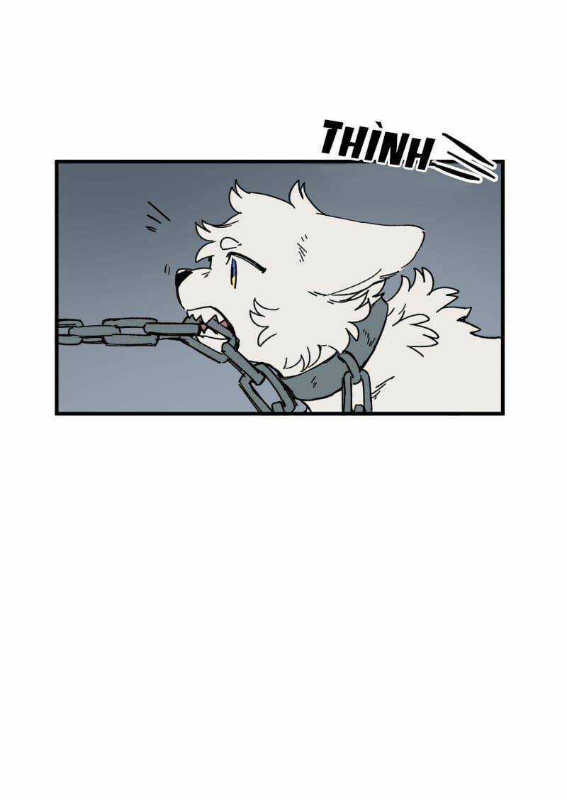 Cội Nguồn Ánh Sáng Chapter 139 trang 32