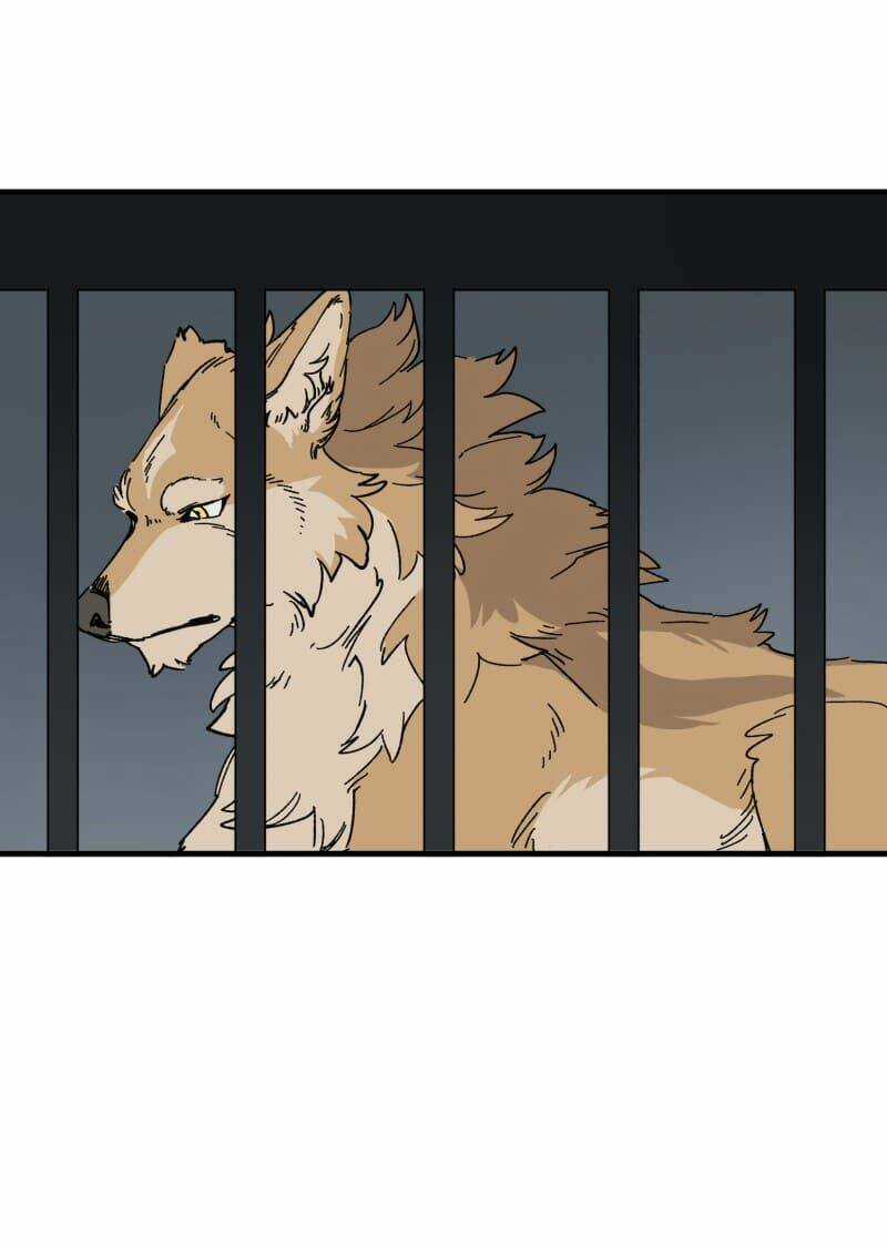 Cội Nguồn Ánh Sáng Chapter 139 trang 35