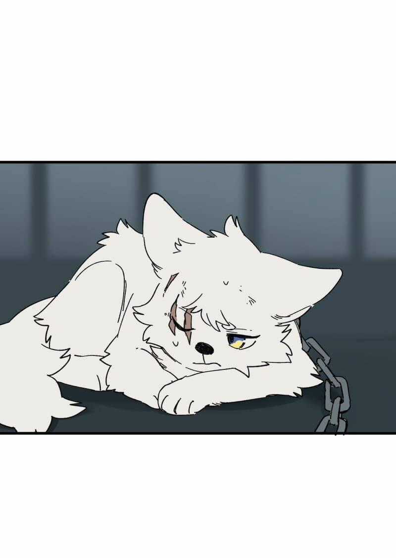 Cội Nguồn Ánh Sáng Chapter 139 trang 37