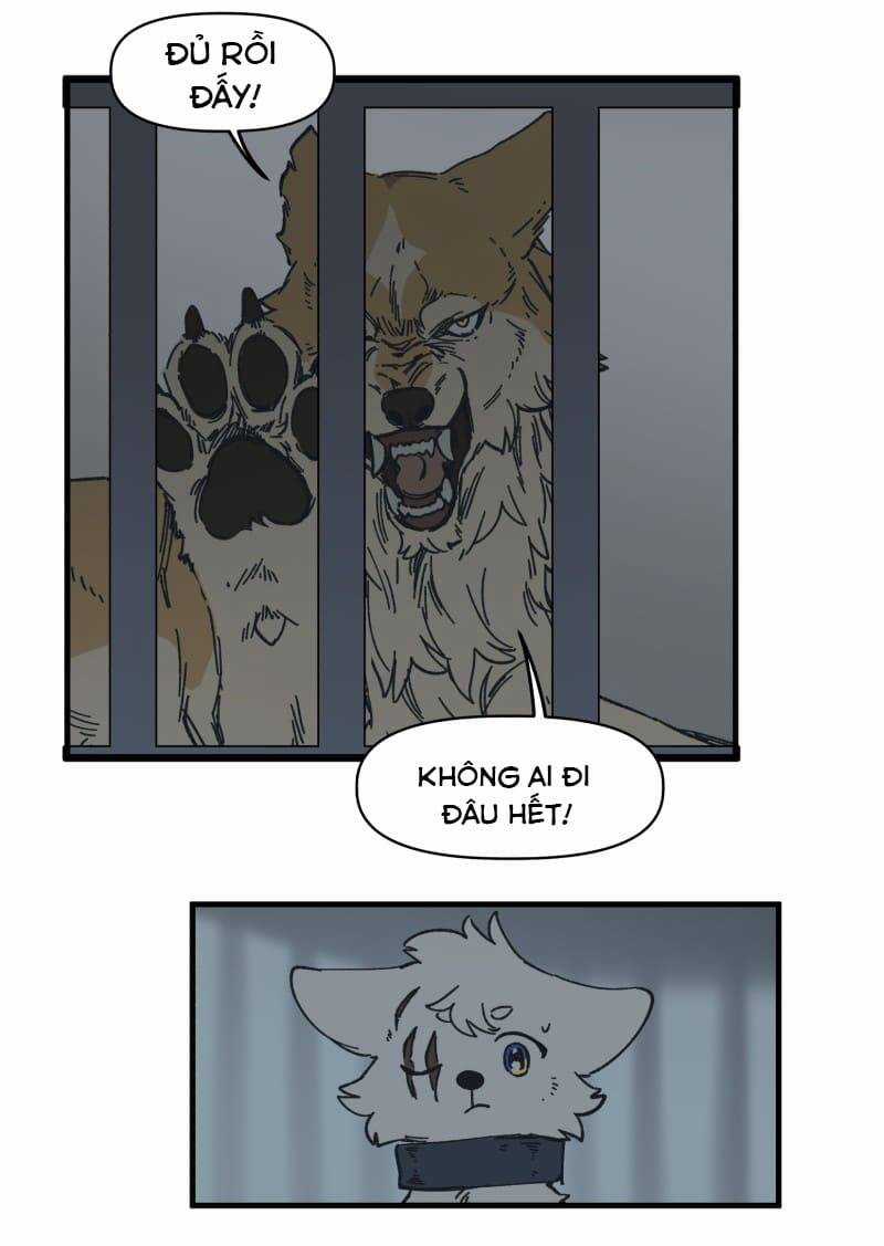 Cội Nguồn Ánh Sáng Chapter 140 trang 11