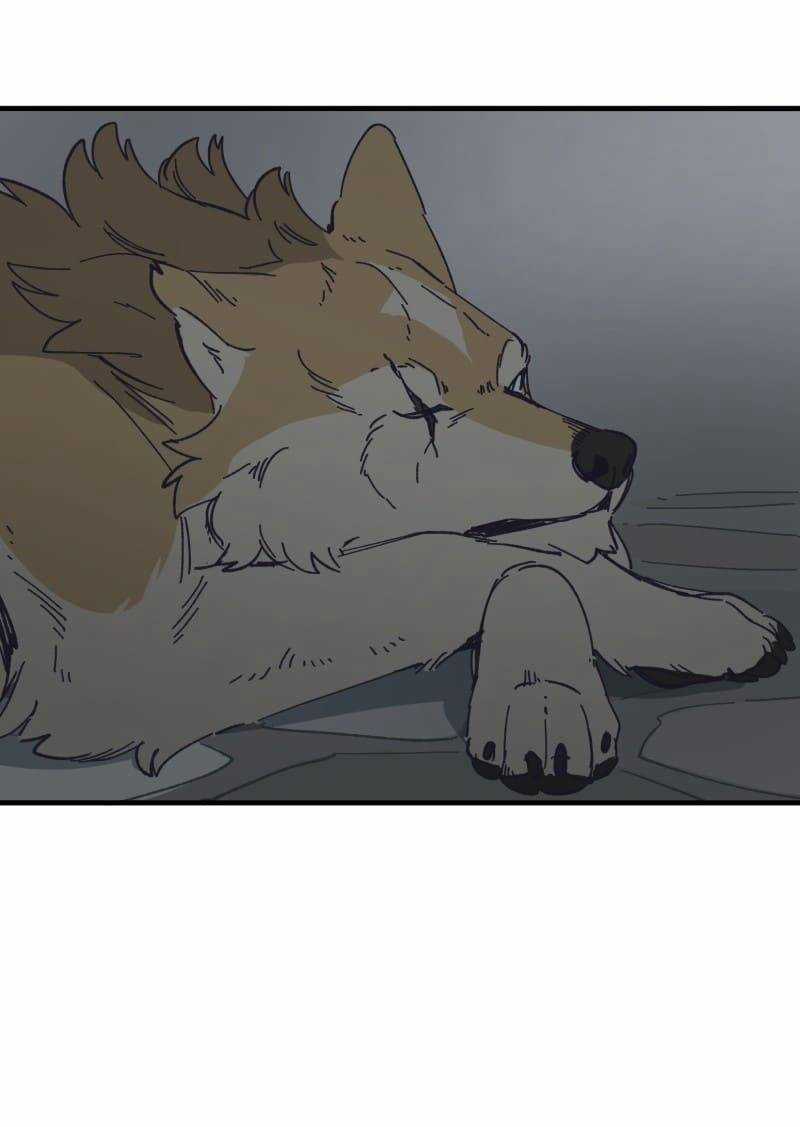 Cội Nguồn Ánh Sáng Chapter 140 trang 5