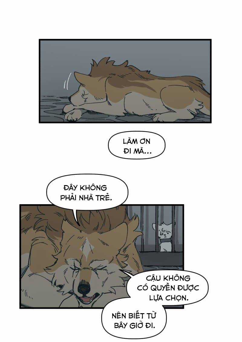 Cội Nguồn Ánh Sáng Chapter 141 trang 11