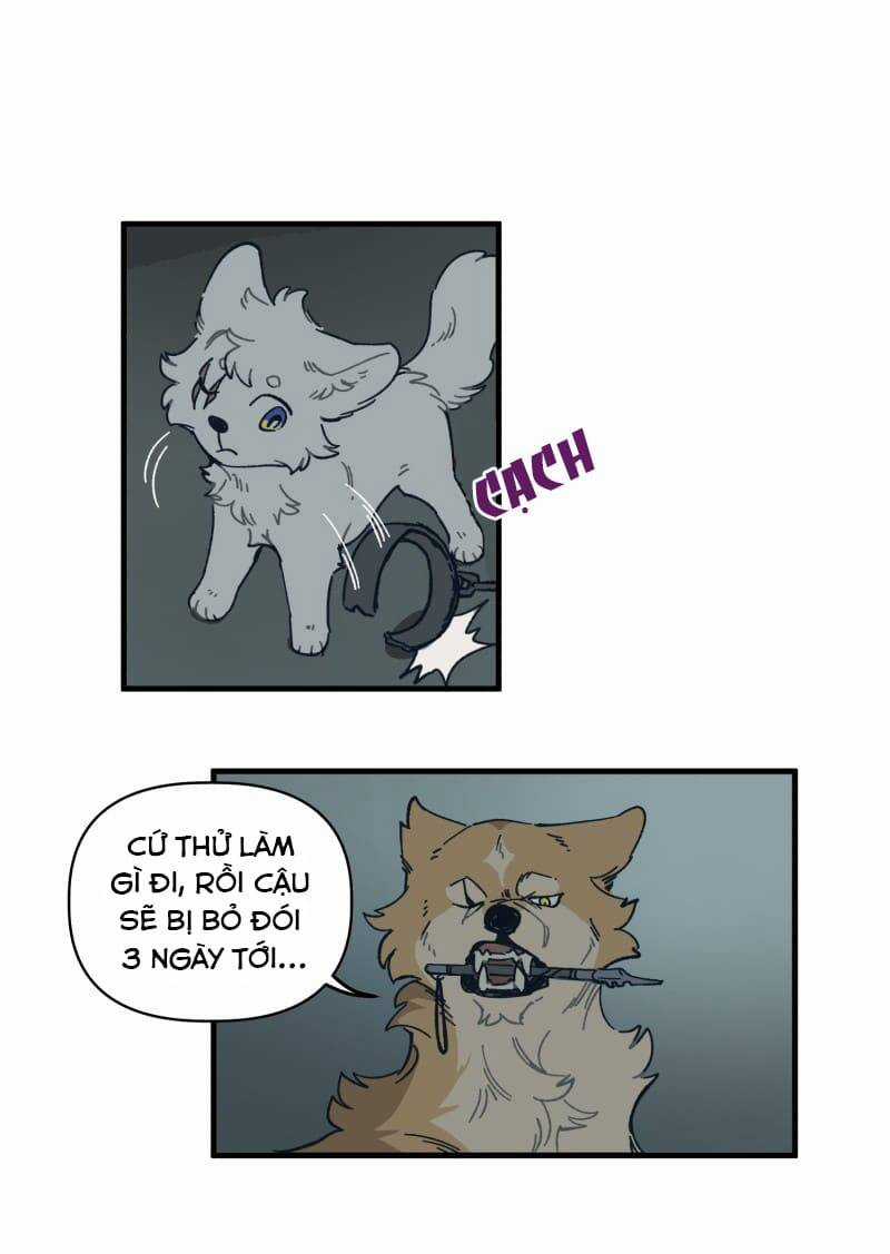 Cội Nguồn Ánh Sáng Chapter 141 trang 16