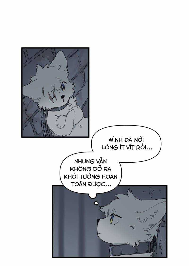 Cội Nguồn Ánh Sáng Chapter 141 trang 3