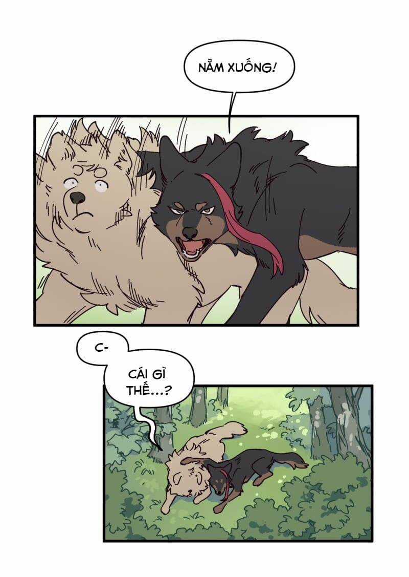 Cội Nguồn Ánh Sáng Chapter 142 trang 14