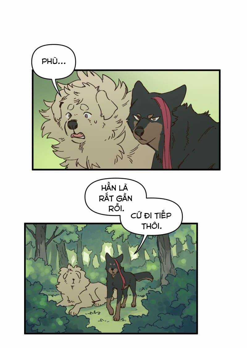 Cội Nguồn Ánh Sáng Chapter 142 trang 20