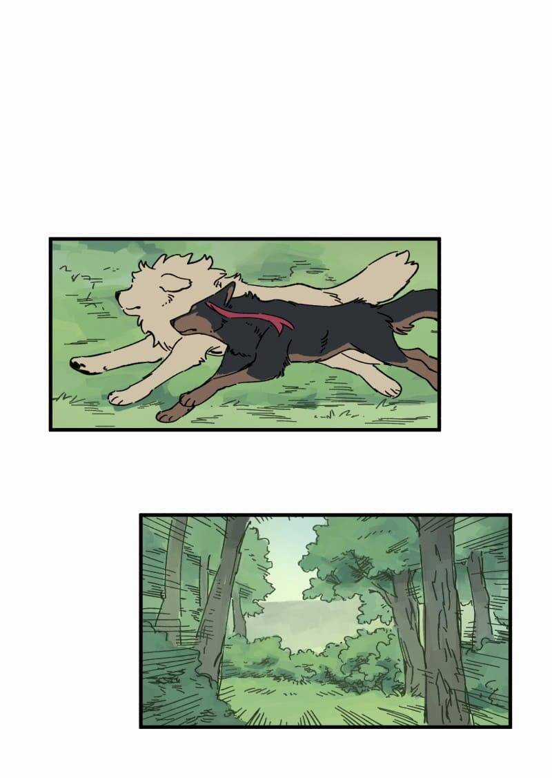 Cội Nguồn Ánh Sáng Chapter 142 trang 21