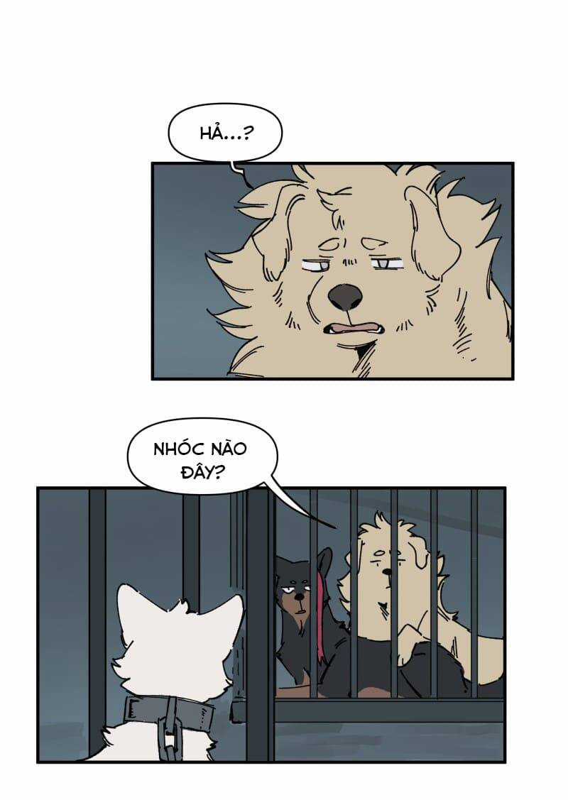 Cội Nguồn Ánh Sáng Chapter 143 trang 11