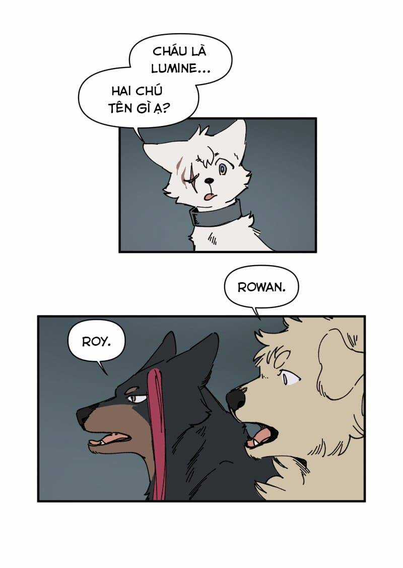 Cội Nguồn Ánh Sáng Chapter 143 trang 12