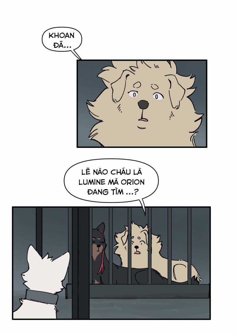 Cội Nguồn Ánh Sáng Chapter 143 trang 13