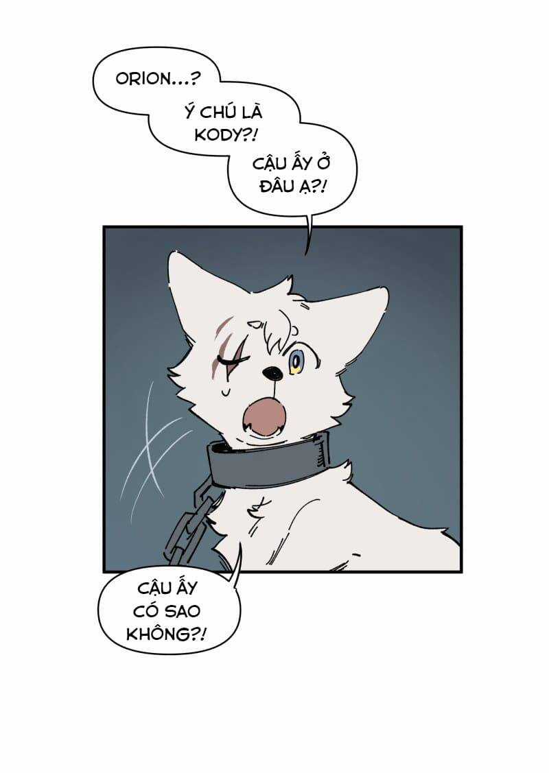 Cội Nguồn Ánh Sáng Chapter 143 trang 14