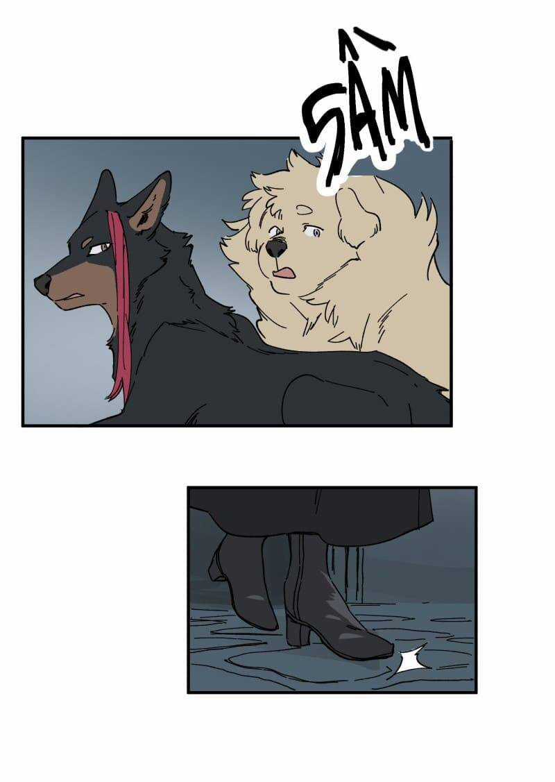 Cội Nguồn Ánh Sáng Chapter 143 trang 15