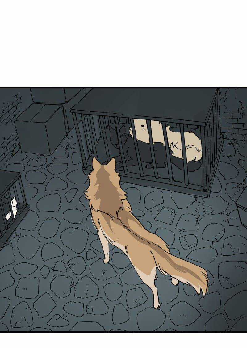 Cội Nguồn Ánh Sáng Chapter 143 trang 27