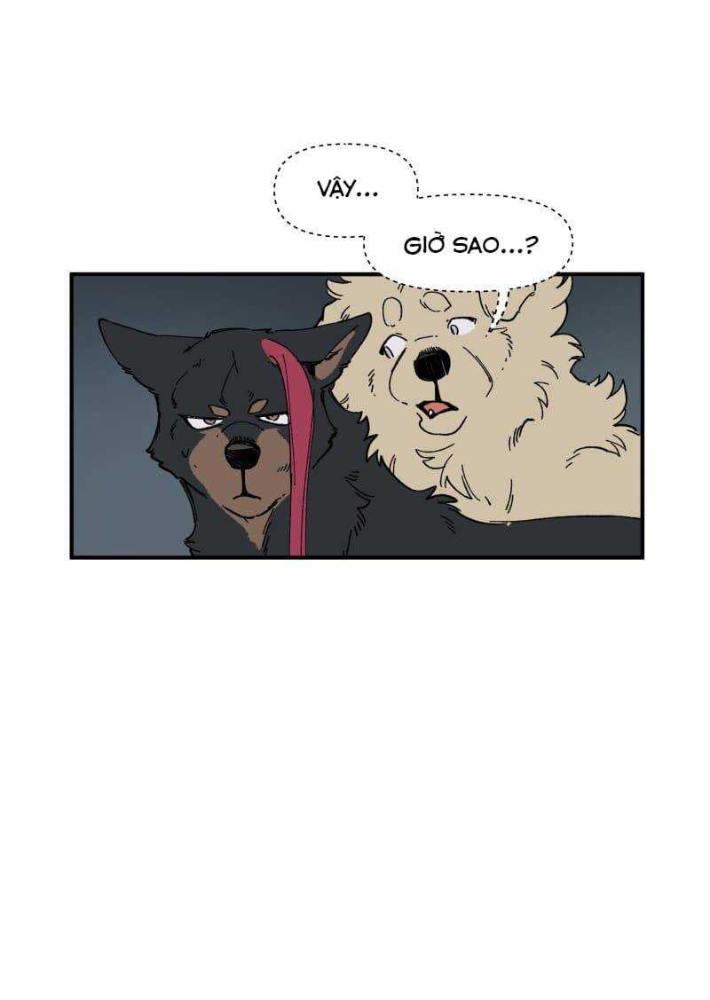 Cội Nguồn Ánh Sáng Chapter 143 trang 28