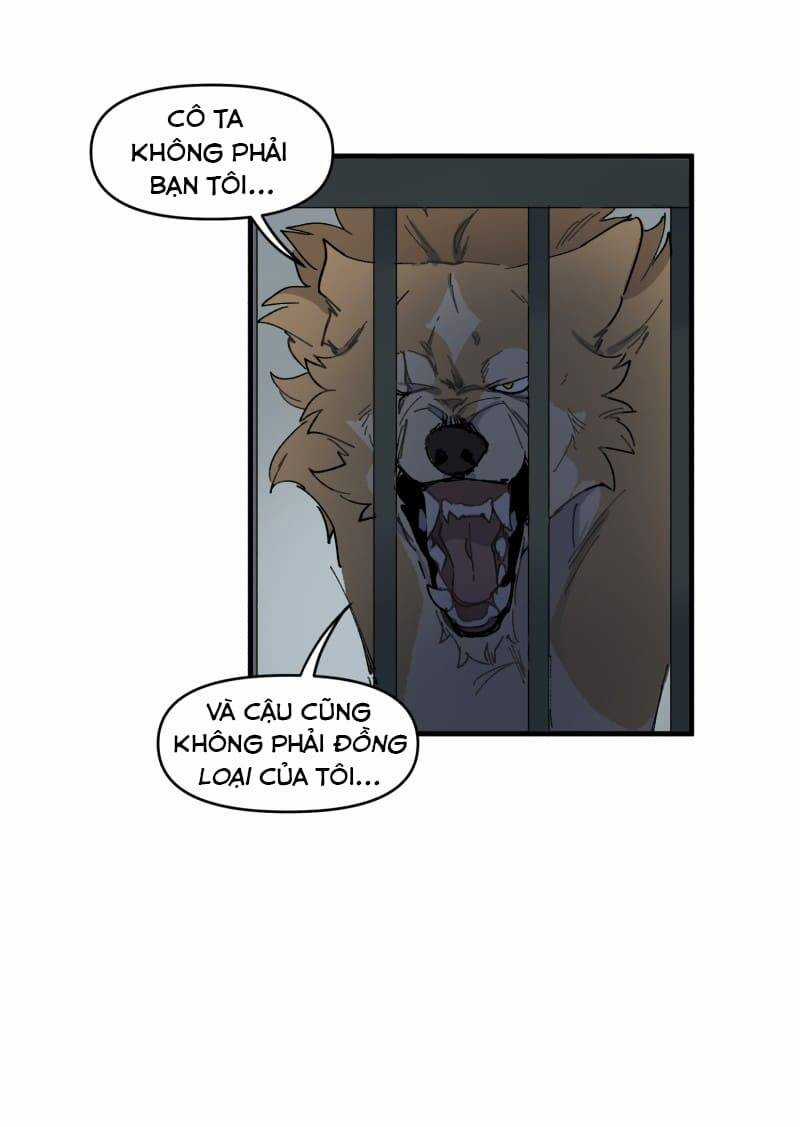 Cội Nguồn Ánh Sáng Chapter 144 trang 31