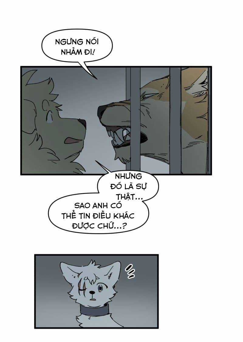 Cội Nguồn Ánh Sáng Chapter 144 trang 33