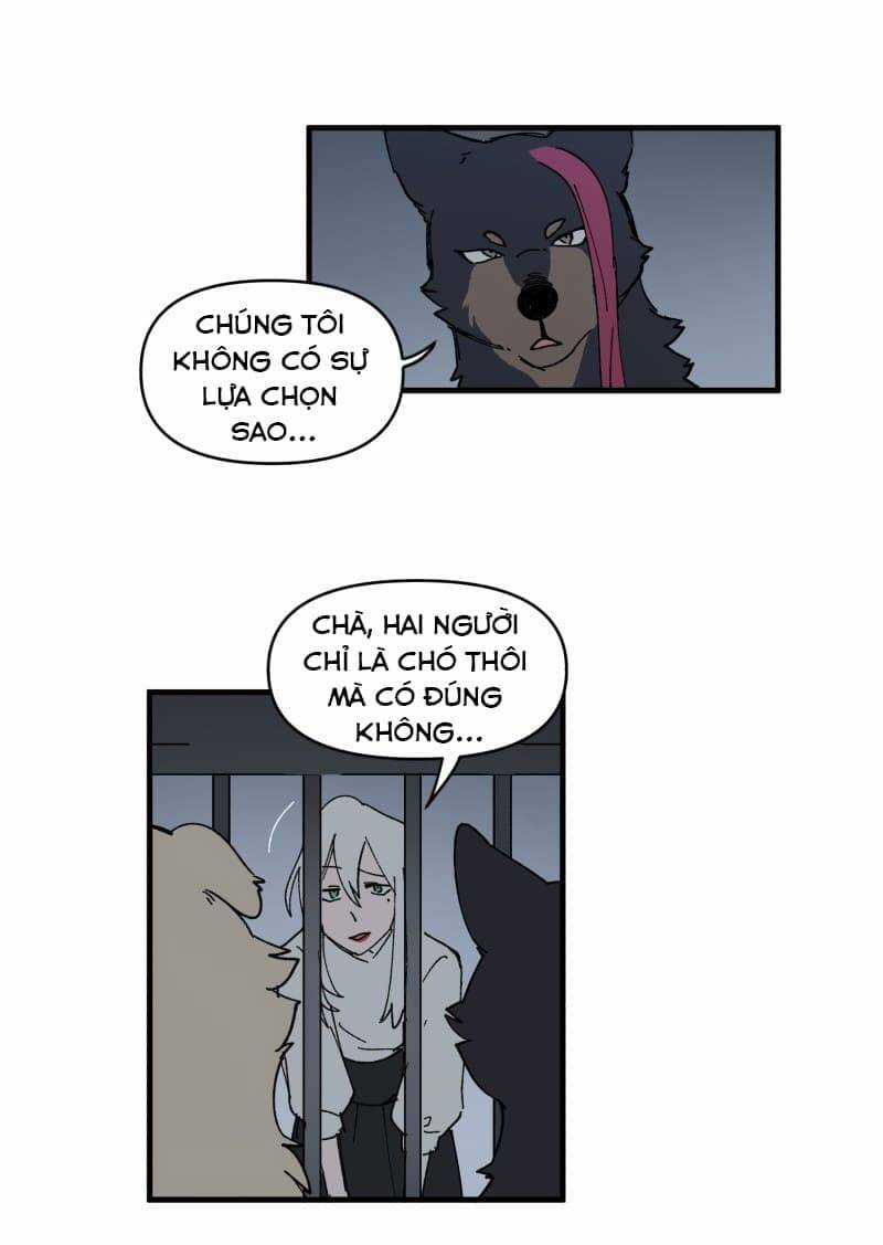 Cội Nguồn Ánh Sáng Chapter 145 trang 11