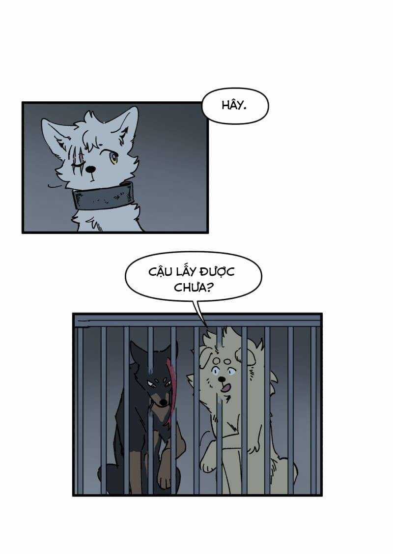 Cội Nguồn Ánh Sáng Chapter 145 trang 16