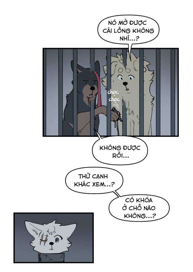 Cội Nguồn Ánh Sáng Chapter 145 trang 22