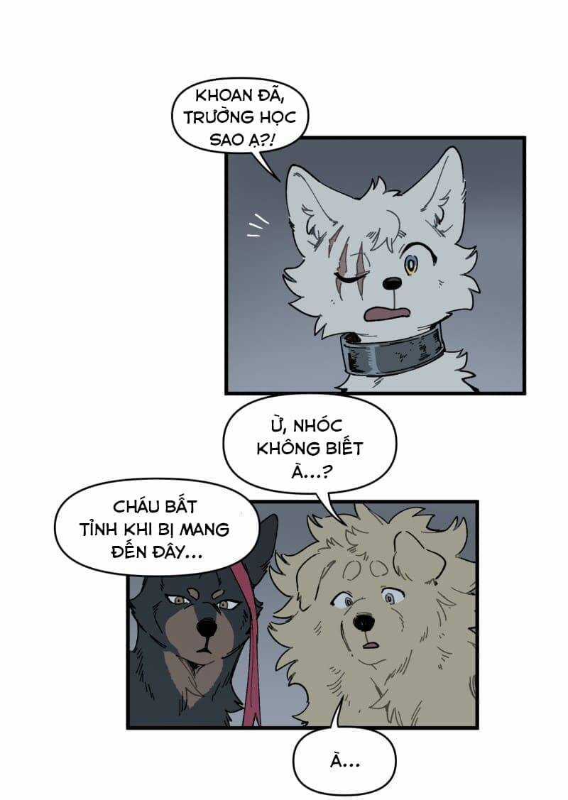 Cội Nguồn Ánh Sáng Chapter 145 trang 26