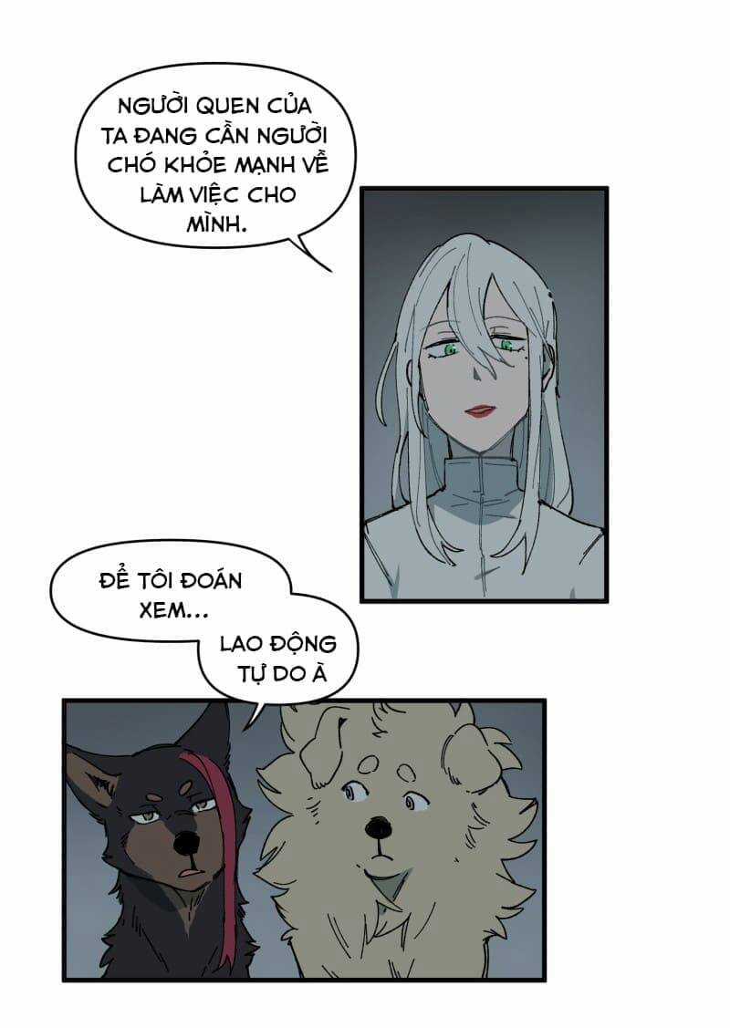 Cội Nguồn Ánh Sáng Chapter 145 trang 8