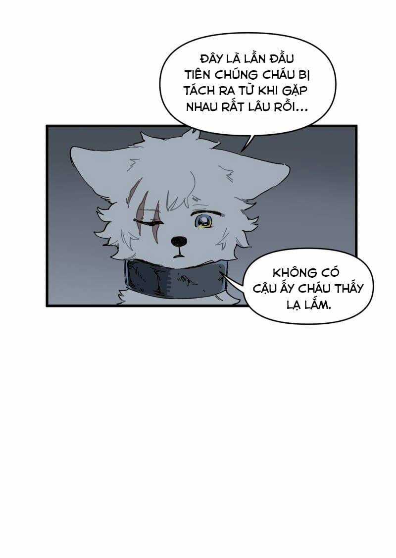 Cội Nguồn Ánh Sáng Chapter 146 trang 29