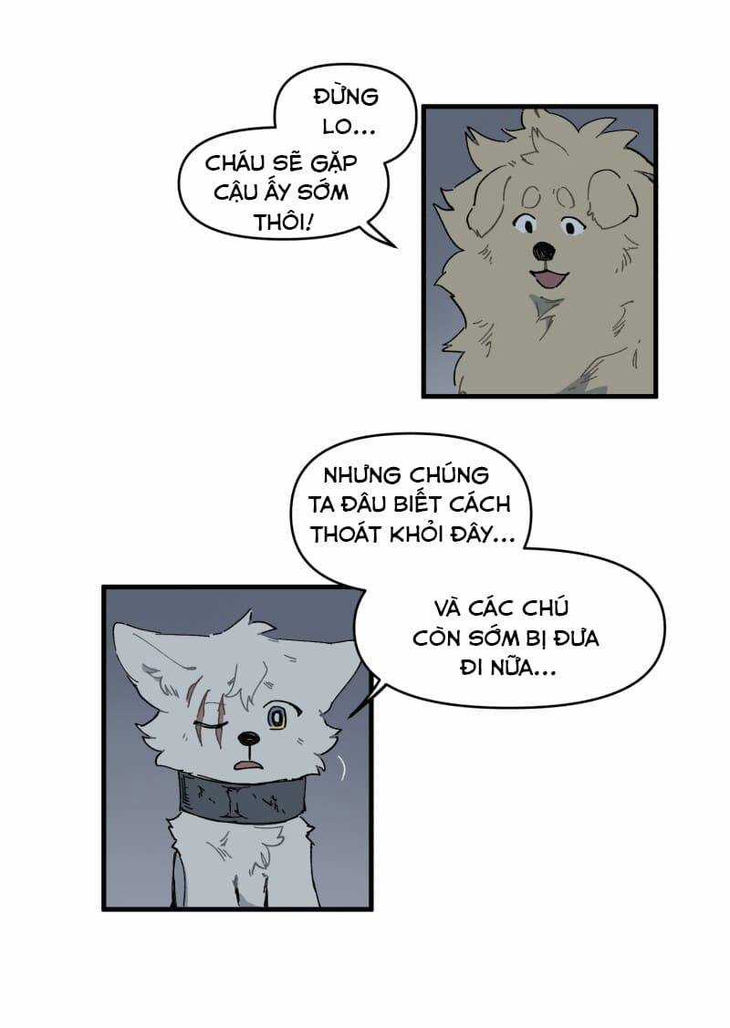 Cội Nguồn Ánh Sáng Chapter 146 trang 30