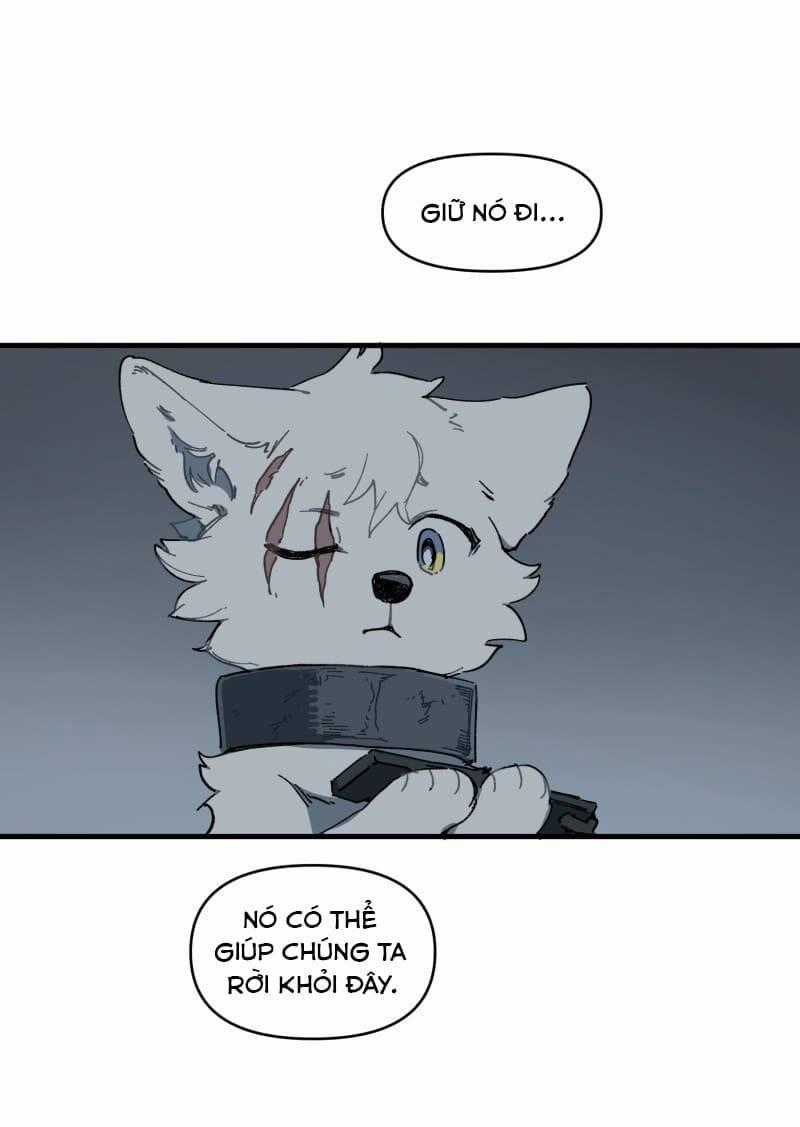 Cội Nguồn Ánh Sáng Chapter 146 trang 33