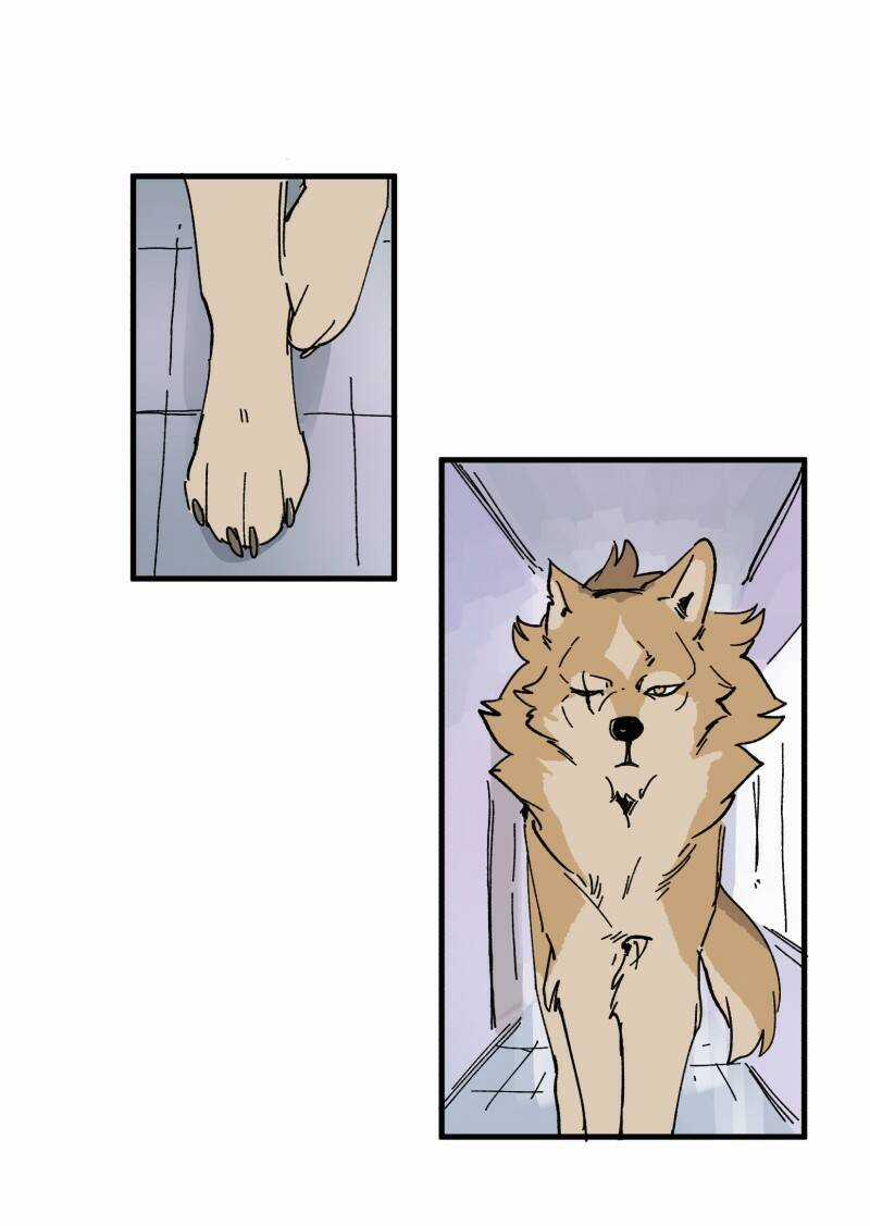 Cội Nguồn Ánh Sáng Chapter 148 trang 10