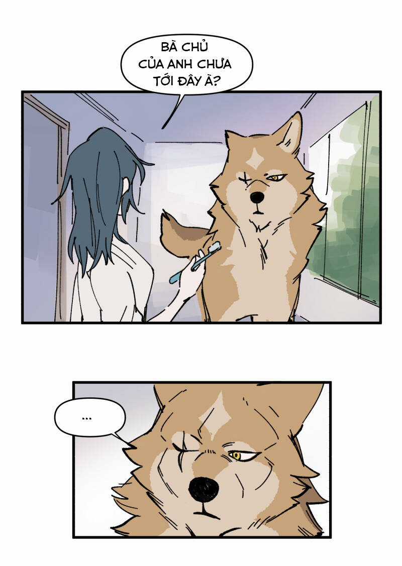 Cội Nguồn Ánh Sáng Chapter 148 trang 12