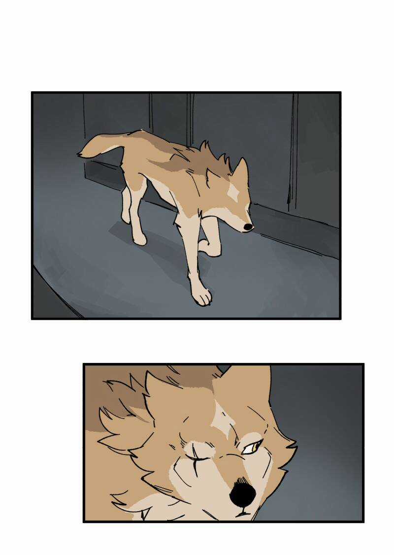 Cội Nguồn Ánh Sáng Chapter 148 trang 19