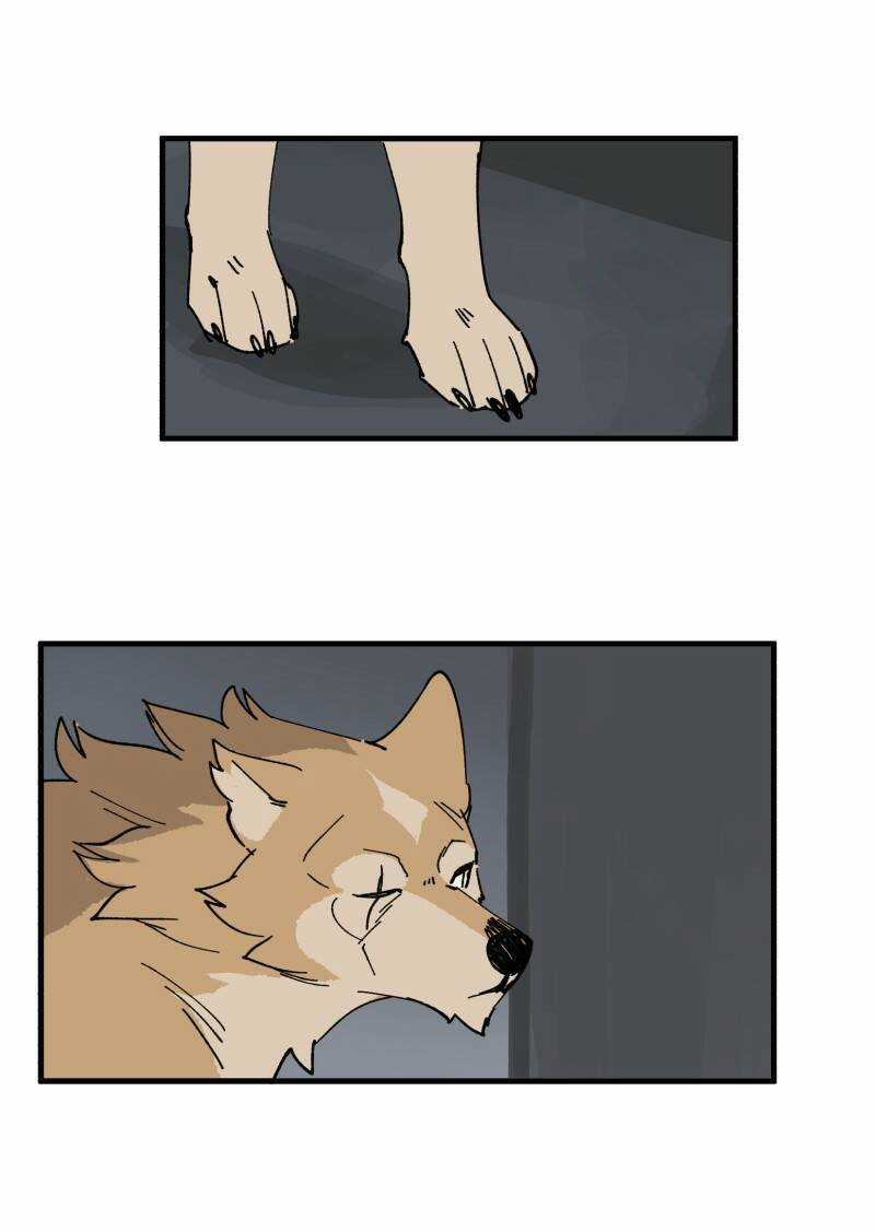 Cội Nguồn Ánh Sáng Chapter 148 trang 20