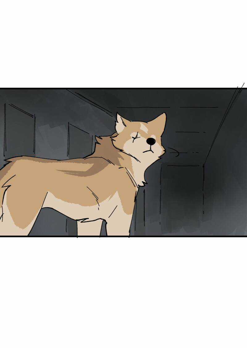 Cội Nguồn Ánh Sáng Chapter 148 trang 21