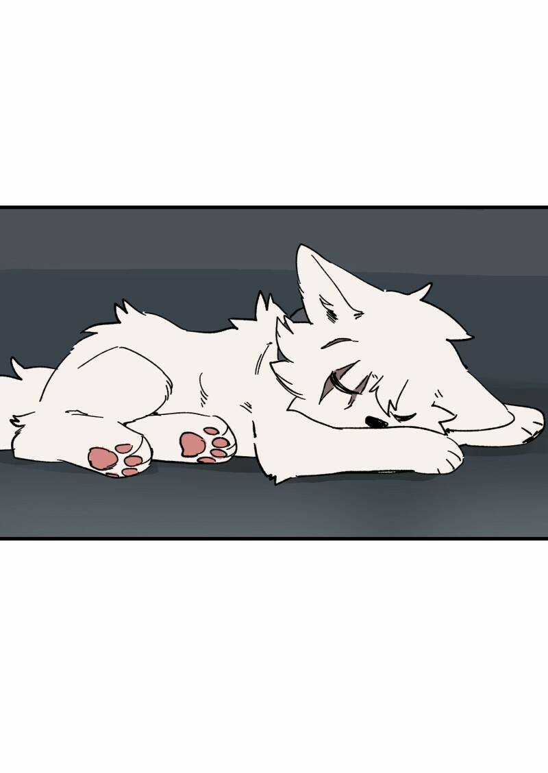 Cội Nguồn Ánh Sáng Chapter 148 trang 24