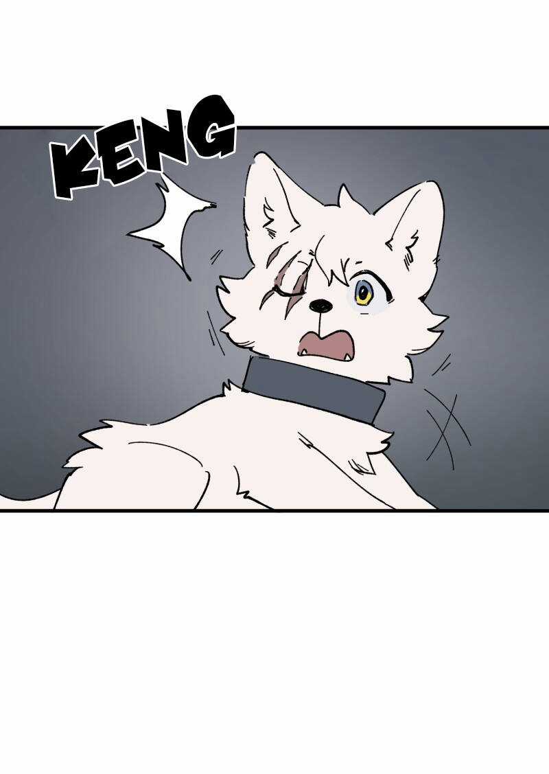 Cội Nguồn Ánh Sáng Chapter 148 trang 25