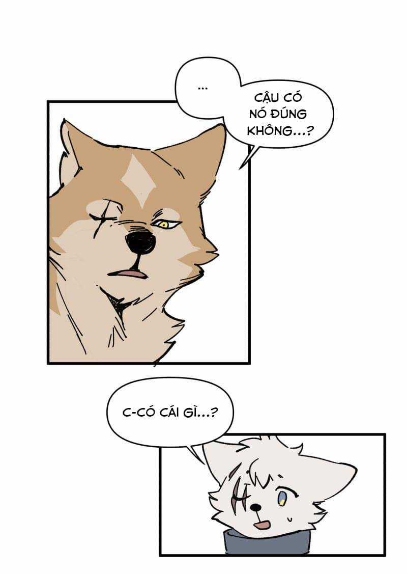 Cội Nguồn Ánh Sáng Chapter 149 trang 4